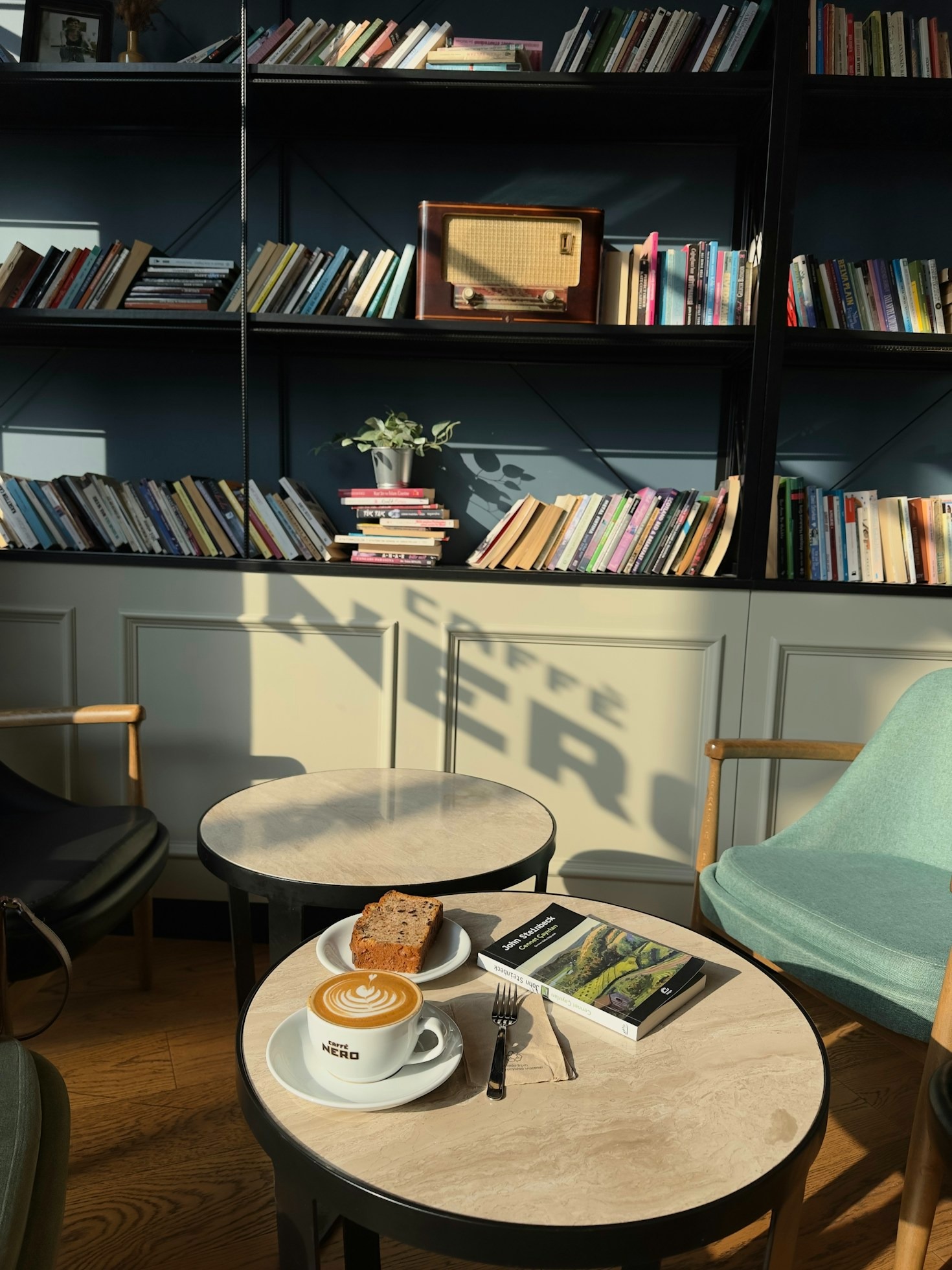 Finding Clarity in a Fast-Paced Modern World
